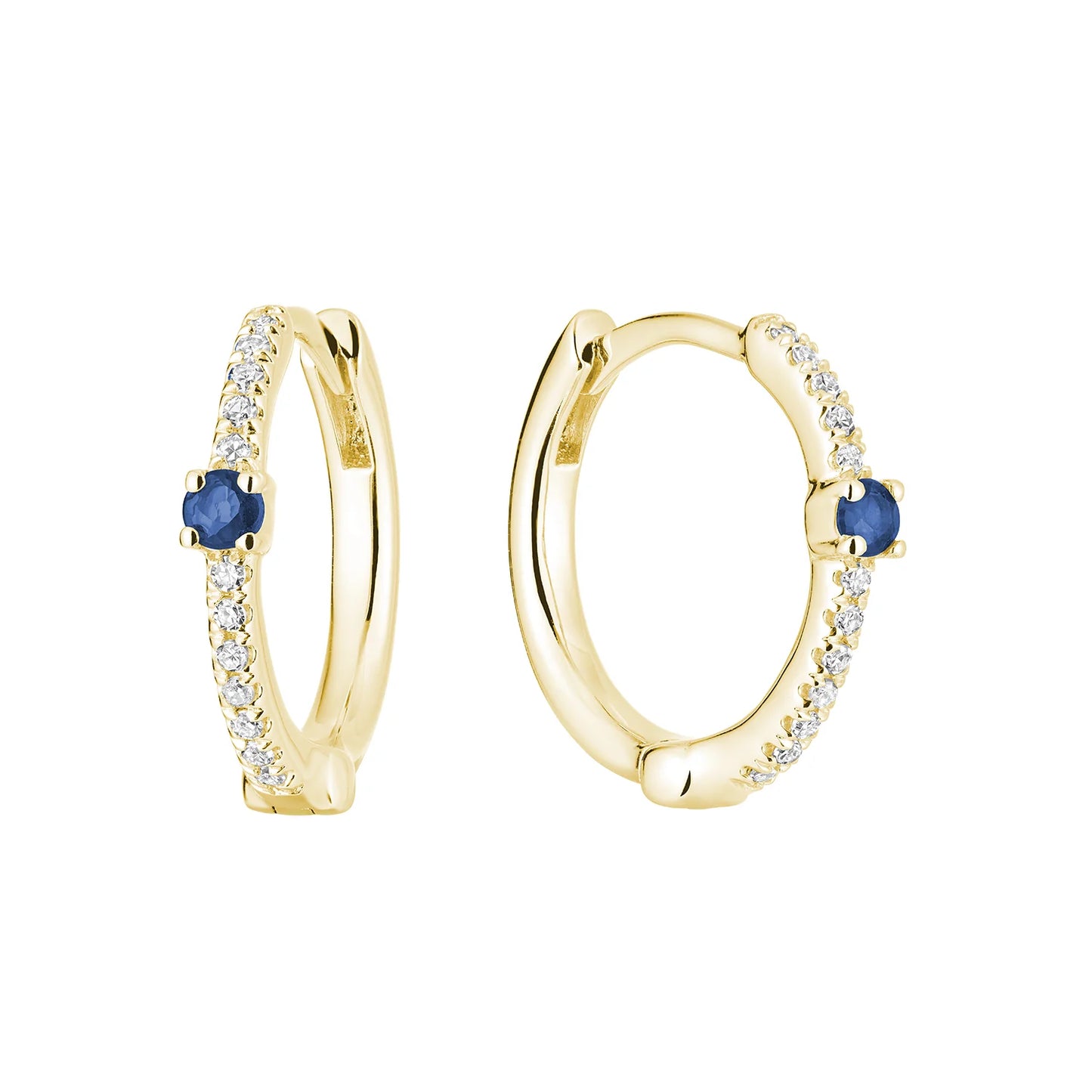 Precious Sapphire and Diamond Hooped Earrings